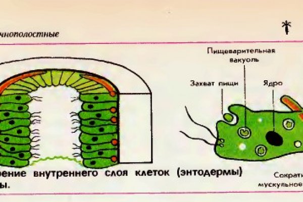 Можно ли зайти на кракен через обычный браузер